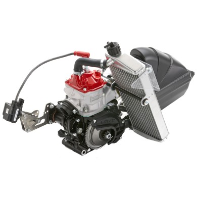 Moteur Rotax junior EVO