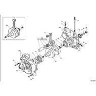 Roulement SKF 6206 C4 (cage polyamide) TN9 6206, MONDOKART
