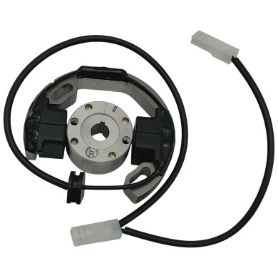 Zündung Komplett - IAME KA100, MONDOKART, kart, go kart