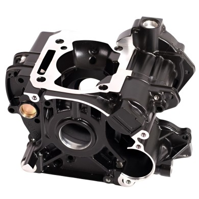 Carter complete Rotax
