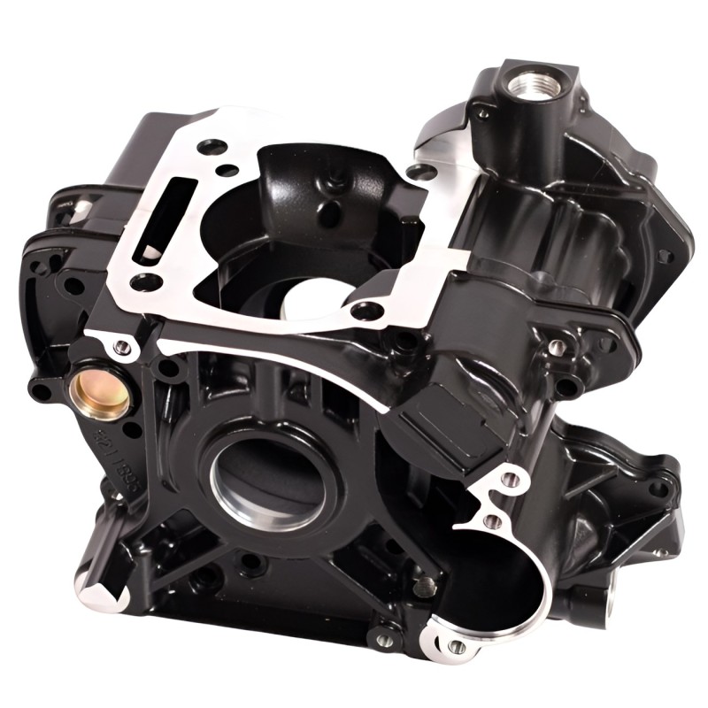 Komplette Crankcase Rotax