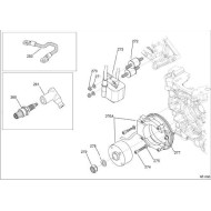 Nut for engine sprocket / flywheel Iame, mondokart, kart, kart
