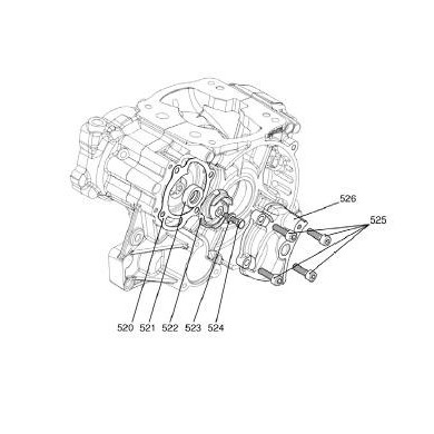 Guarnizione coperchio pompa Iame Reedster KF, MONDOKART, kart