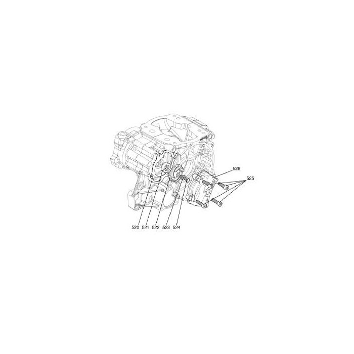 Girante pompa acqua Iame Reedster KF (2013 al 2015), MONDOKART