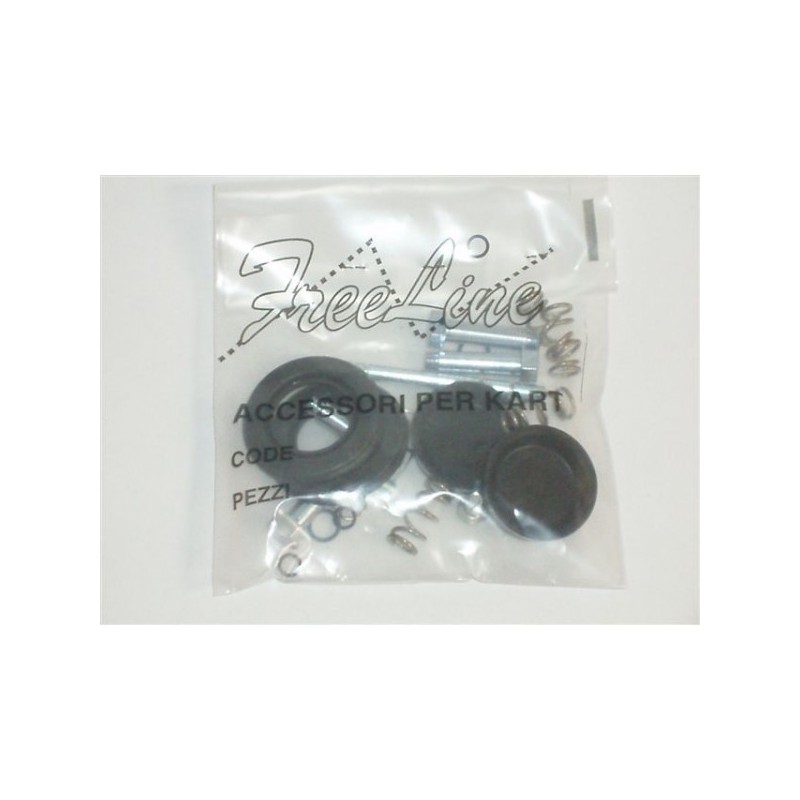 Brake caliper revision Easykart (first type) Birel, mondokart