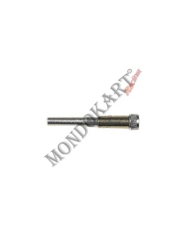 Screw for double diameter pedal (8-10) Allen