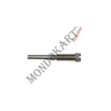 Screw for double diameter pedal (8-10) Allen, mondokart, kart