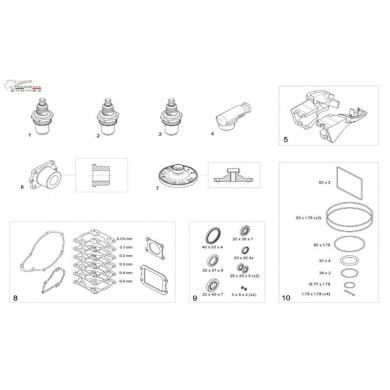 Kit oring OR motore Modena KZ KK1 MKZ, MONDOKART, kart, go