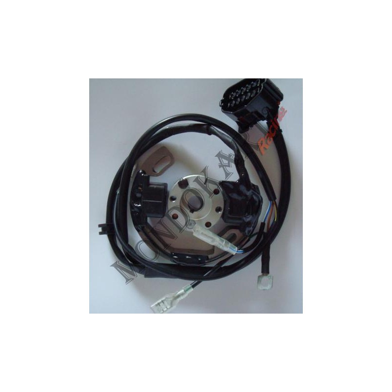 Encendido Selettra Mini 60cc (de 2010 en adelante), MONDOKART
