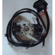 Accensione Selettra Mini 60cc (dal 2010 in poi), MONDOKART