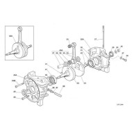Vilebrequin Mini / Baby Iame Swift (a partir de 2015)
