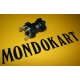 Mozzo Ruota Anteriore S6 100-25/42 A/P BirelArt, MONDOKART