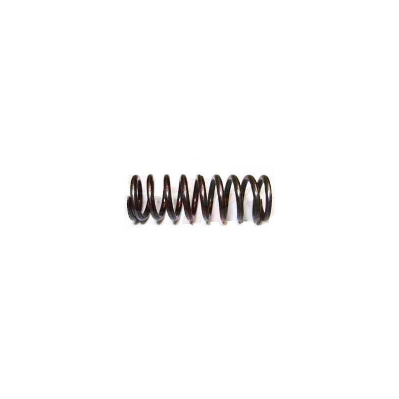Muelle Embrague KZ, MONDOKART, kart, go kart, karting