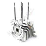 Carter completo minirok 60cc con cuscinetti Minirok 60cc