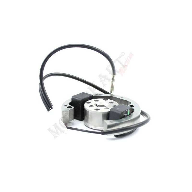 Encendido Vortex Minirok 60cc desnuda, MONDOKART, kart, go