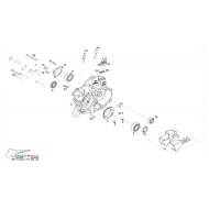 Belüften Öl M 12 x 1,5 Modena KK1 MKZ, MONDOKART, kart, go