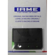 Juego Laminas carbono 0.30 / 0.33 original IAME Screamer (1-2)