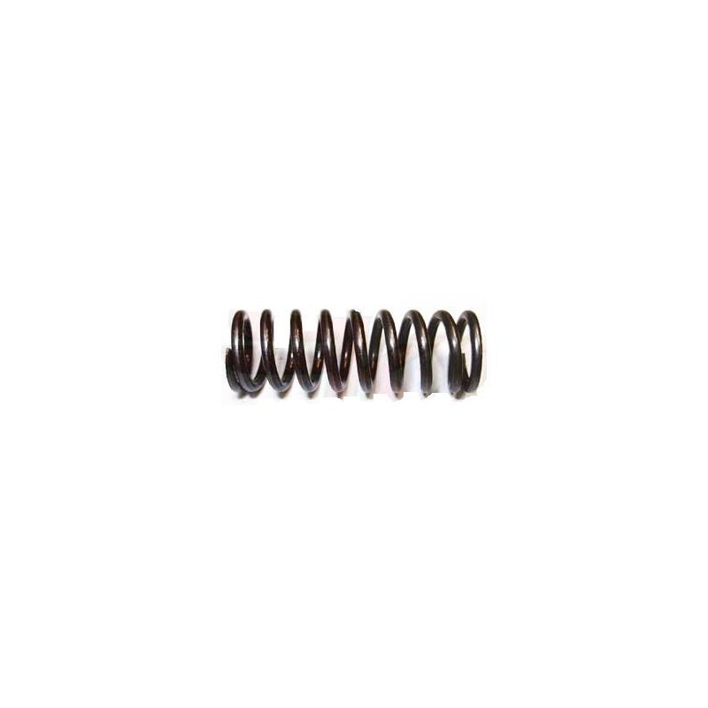 Ressort d'embrayage Iame Screamer (1-2) KZ, MONDOKART, kart, go