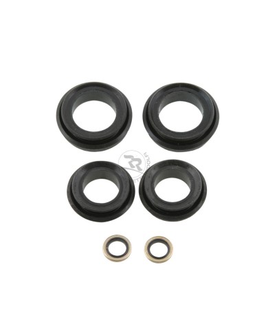 Kit revisione pinza RR K880