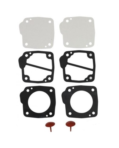 Petrol Pump Gaskets Kit DellOrto