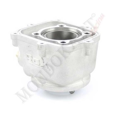 Cilindro Junior Rok - Rok completo Vortex, MONDOKART, kart, go
