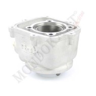 Cilindro Junior Rok - Rok completo Vortex, MONDOKART, kart, go