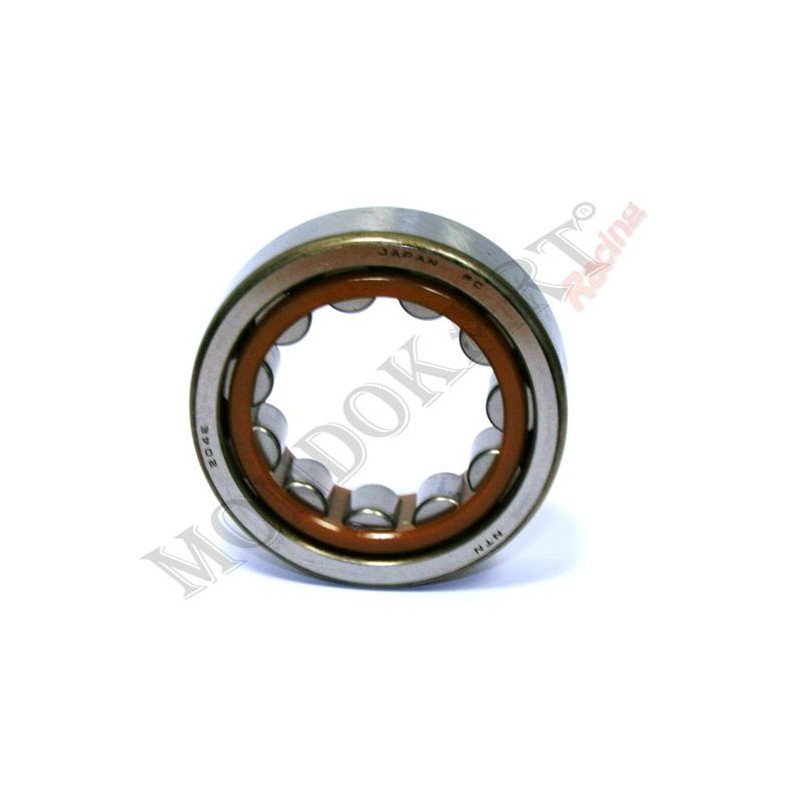 Cuscinetti a rulli NJ 204ET2X BC1 3022 Pignone TM, MONDOKART