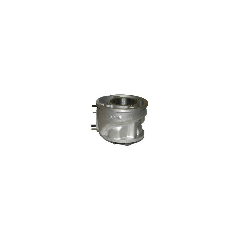 Complete Cylinder IAME Leopard, mondokart, kart, kart store