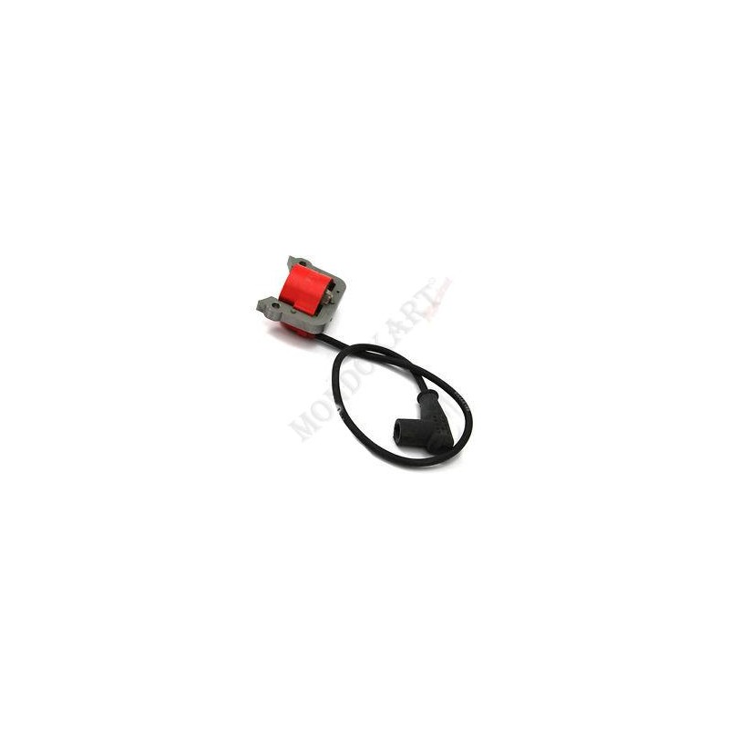 WTP 60cc Coil, mondokart, kart, kart store, karting, kart