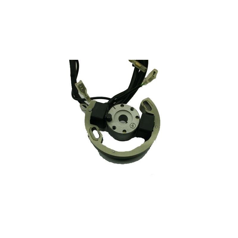 Encendido DVS Vortex desnudo (con limitador), MONDOKART, kart