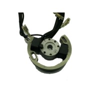 Encendido DVS Vortex desnudo (con limitador), MONDOKART, kart