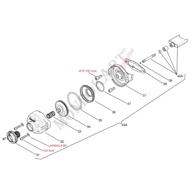 Molla compressione valvola scarico Iame OK - KF, MONDOKART