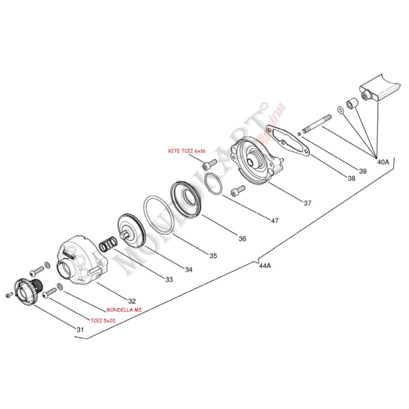 Molla compressione valvola scarico Iame OK - KF, MONDOKART