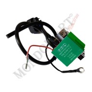 Bobina / Unidad Control Electronico Verde OK, MONDOKART, kart