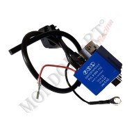 Bobina / Unidad Control Electronico Azul OKJ, MONDOKART, kart