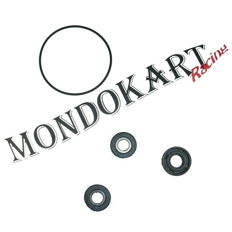 Kit Revisione Pompa Acqua Elto, MONDOKART, kart, go kart