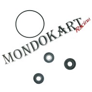 Kit Revisione Pompa Acqua Elto, MONDOKART, kart, go kart