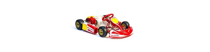 EASYKART 50