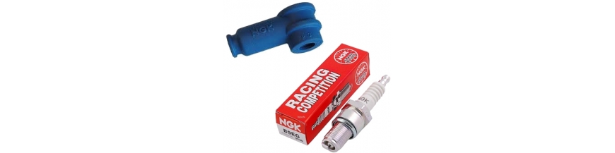 Spark Plugs & Accessories