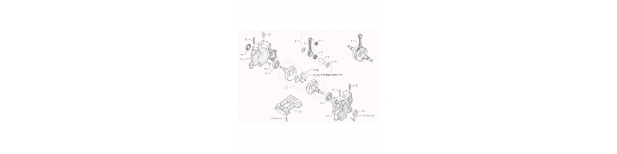 Crankshaft & Biella HAT