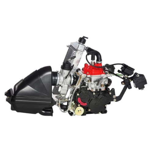 Ricambi Rotax MAX (Micro, Mini, Junior, Senior) in Offerta - Acquista