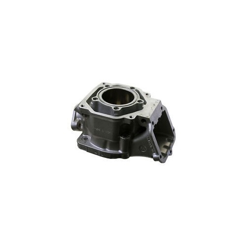 Cilindro Rotax DD2 in Offerta - Acquista su Mondokart Cilindro Rotax DD2 in Offerta - Acquista su Mondokart
