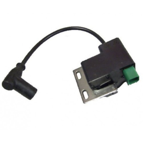 Encendido Rotax DD2 en Oferta - Compra Ahora en Mondokart Encendido Rotax DD2 en Oferta - Compra Ahora en Mondokart