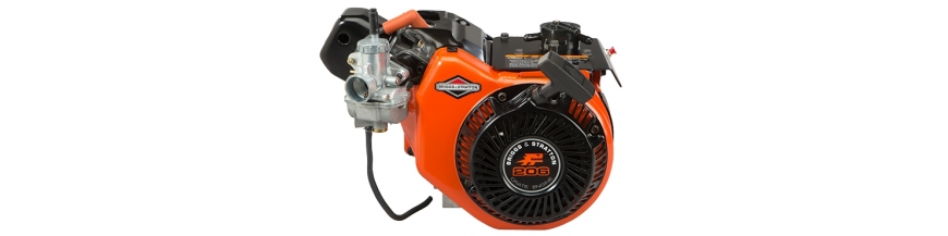 Engines Briggs & Stratton