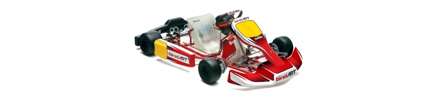 Complete BirelArt & KGP Karts