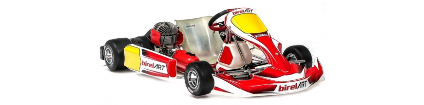 Complete Easykart Karts