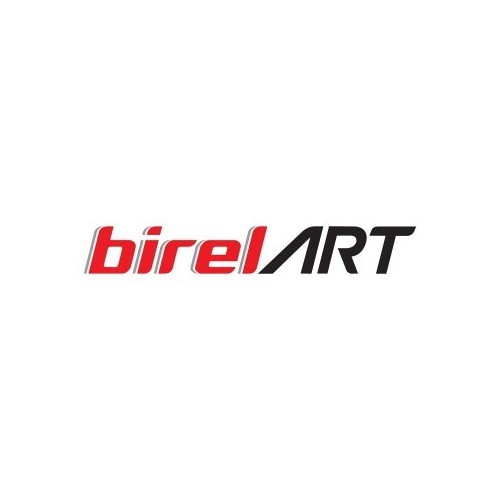 Birel Freeline BirelArt Bodyworks on Offer - Buy Now on Mondokart Birel Freeline BirelArt Bodyworks on Offer - Buy Now on Mondokart