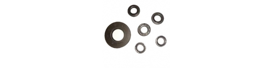 Oil Seals