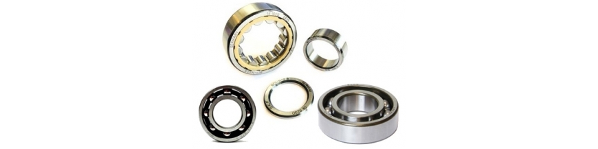 Engine Bearings