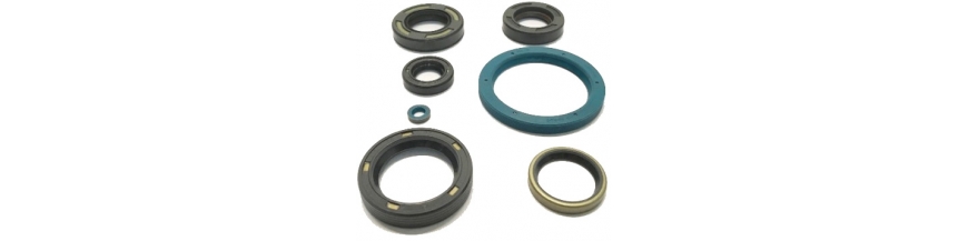 Oil Seals